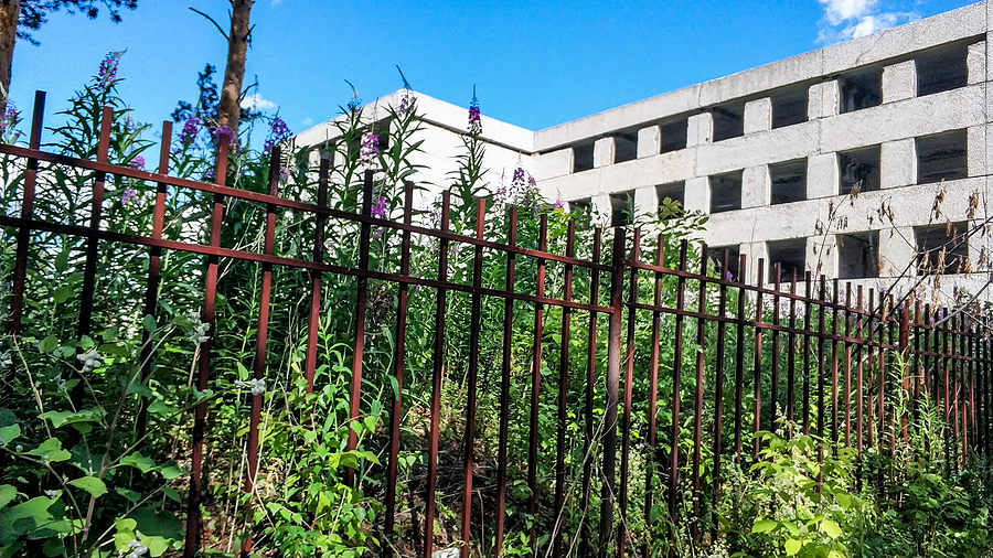 Cleaning Fence Lines Using Brush Clearing Methods