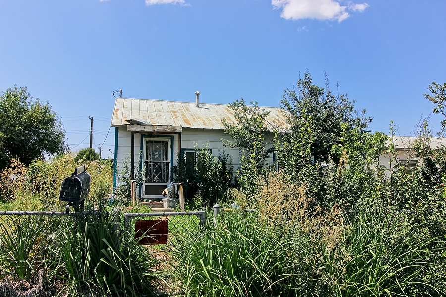 How Land Clearing for New Construction Works
