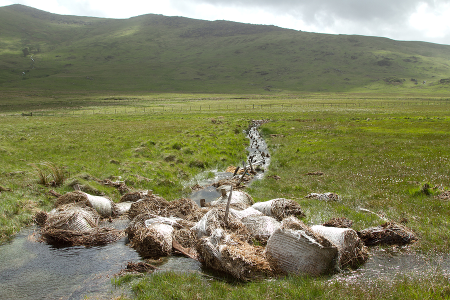 Livestock Safety Improved by Field and Pasture Clearing