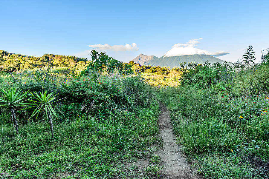 What Land Clearing Costs Per Acre Really Include