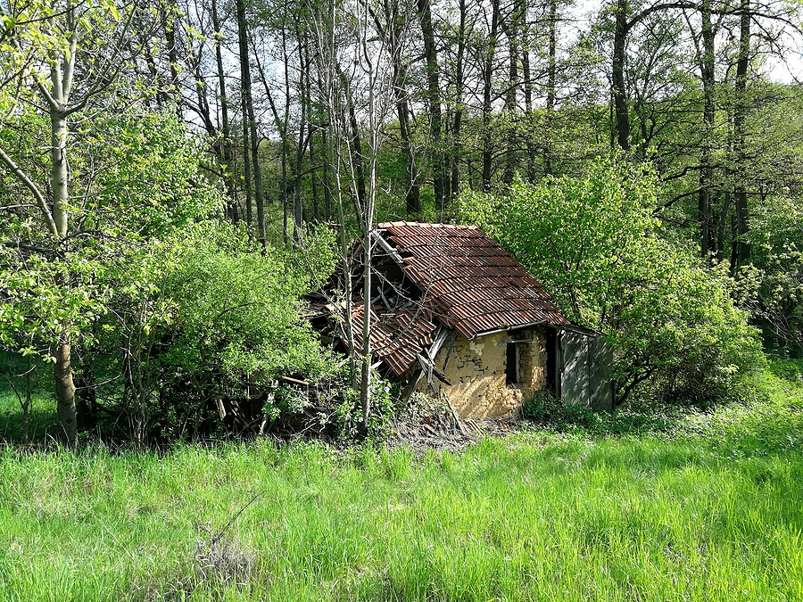 When Brush Clearing Is Better Than Full Clearing